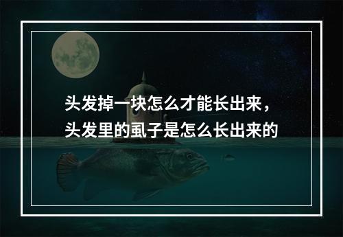 头发掉一块怎么才能长出来，头发里的虱子是怎么长出来的