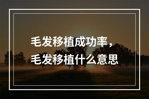 毛发移植成功率，毛发移植什么意思