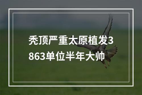 秃顶严重太原植发3863单位半年大帅