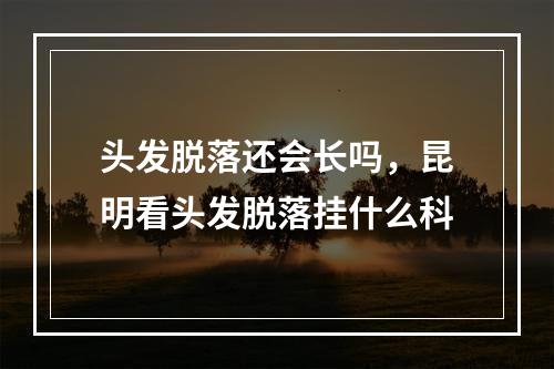 头发脱落还会长吗，昆明看头发脱落挂什么科