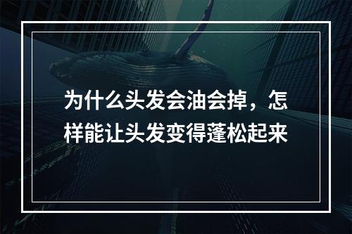 为什么头发会油会掉，怎样能让头发变得蓬松起来