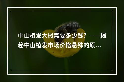 中山植发大概需要多少钱？——揭秘中山植发市场价格悬殊的原因和注意事项