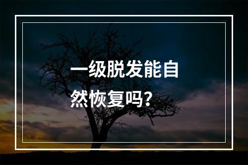 一级脱发能自然恢复吗？