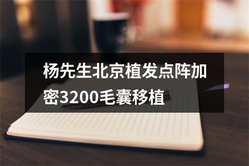 杨先生北京植发点阵加密3200毛囊移植