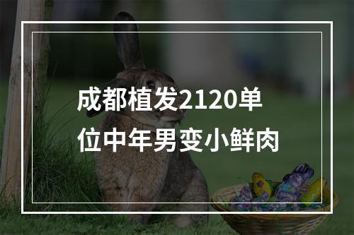 成都植发2120单位中年男变小鲜肉