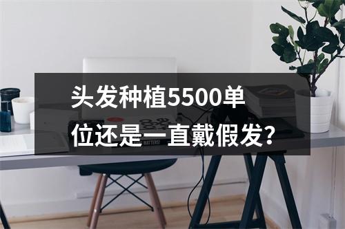 头发种植5500单位还是一直戴假发？