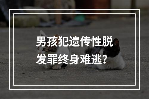 男孩犯遗传性脱发罪终身难逃？