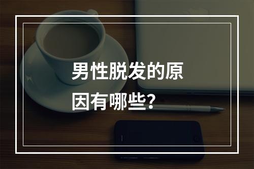 男性脱发的原因有哪些？