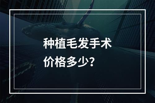 种植毛发手术价格多少？