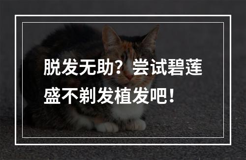 脱发无助？尝试碧莲盛不剃发植发吧！