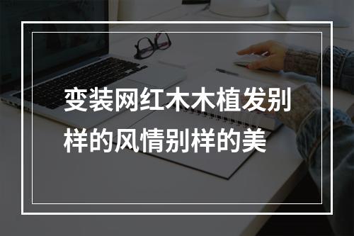 变装网红木木植发别样的风情别样的美