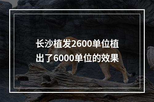 长沙植发2600单位植出了6000单位的效果