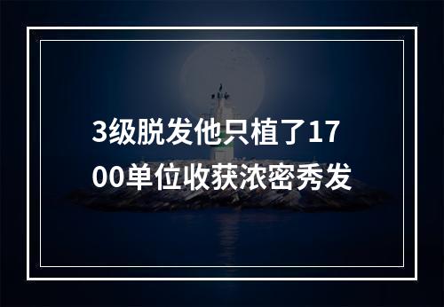 3级脱发他只植了1700单位收获浓密秀发