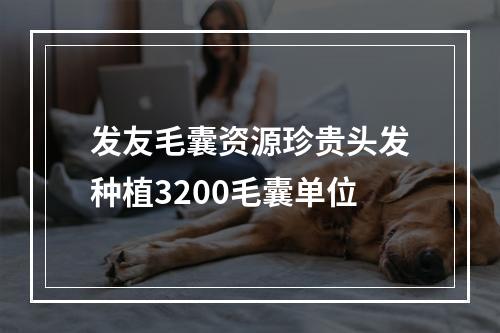 发友毛囊资源珍贵头发种植3200毛囊单位