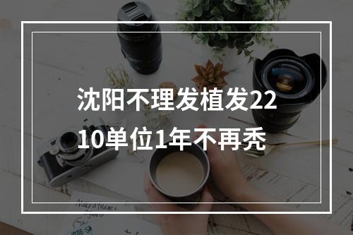 沈阳不理发植发2210单位1年不再秃