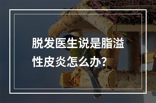 脱发医生说是脂溢性皮炎怎么办？