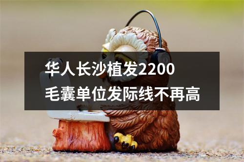 华人长沙植发2200毛囊单位发际线不再高