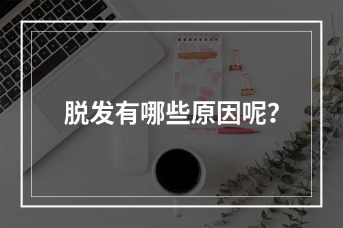 脱发有哪些原因呢？