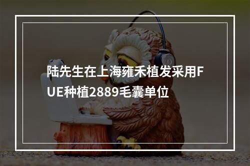 陆先生在上海雍禾植发采用FUE种植2889毛囊单位