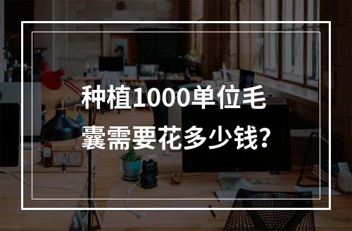 种植1000单位毛囊需要花多少钱？