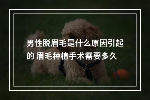 男性脱眉毛是什么原因引起的 眉毛种植手术需要多久