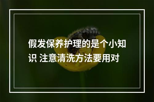 假发保养护理的是个小知识 注意清洗方法要用对