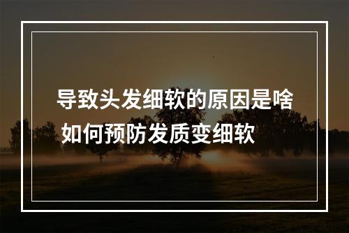 导致头发细软的原因是啥 如何预防发质变细软