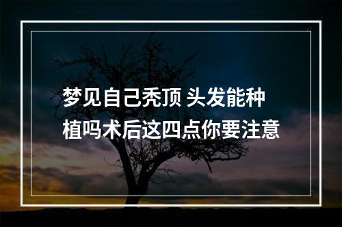 梦见自己秃顶 头发能种植吗术后这四点你要注意