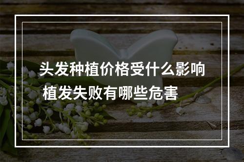 头发种植价格受什么影响 植发失败有哪些危害