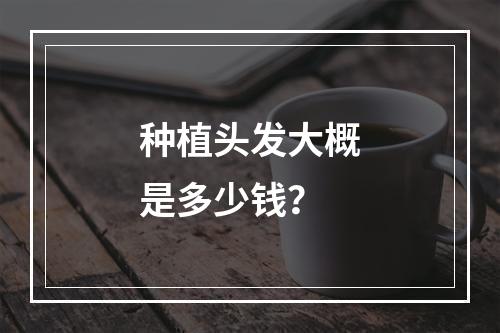 种植头发大概是多少钱？