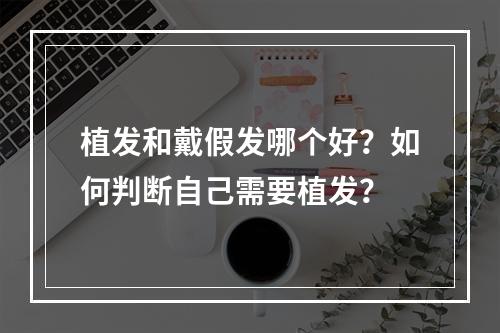 植发和戴假发哪个好？如何判断自己需要植发？