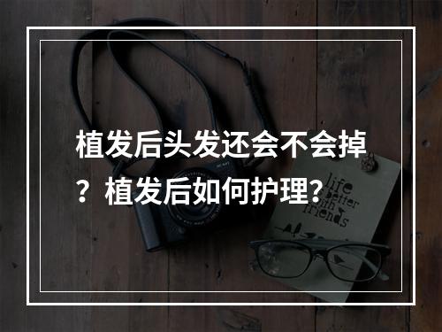 植发后头发还会不会掉？植发后如何护理？