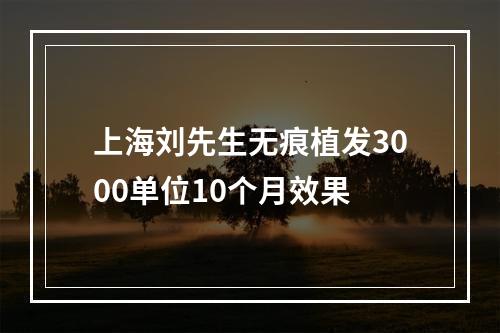 上海刘先生无痕植发3000单位10个月效果