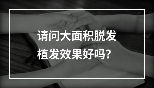 请问大面积脱发植发效果好吗？