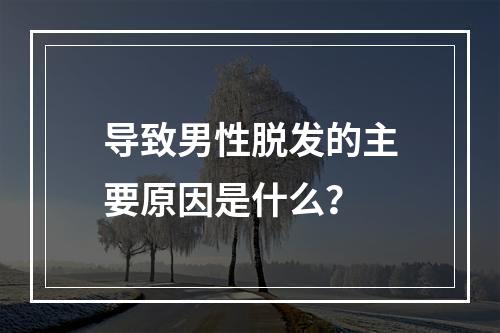 导致男性脱发的主要原因是什么？