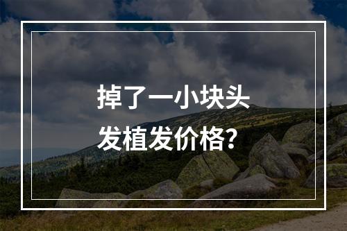 掉了一小块头发植发价格？