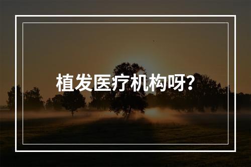 植发医疗机构呀？