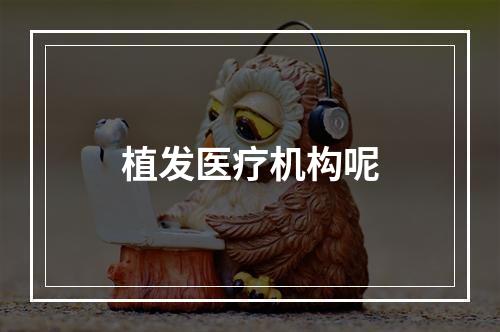 植发医疗机构呢