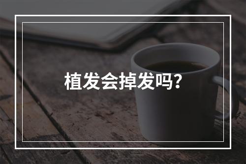 植发会掉发吗？