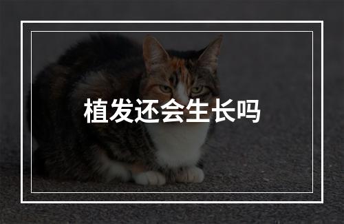 植发还会生长吗