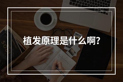 植发原理是什么啊？