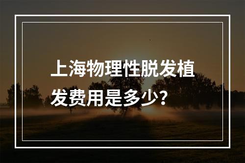 上海物理性脱发植发费用是多少？