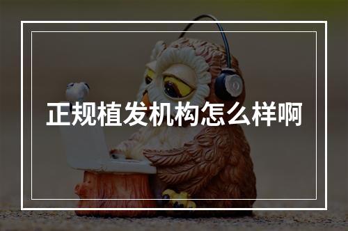 正规植发机构怎么样啊