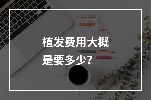 植发费用大概是要多少？