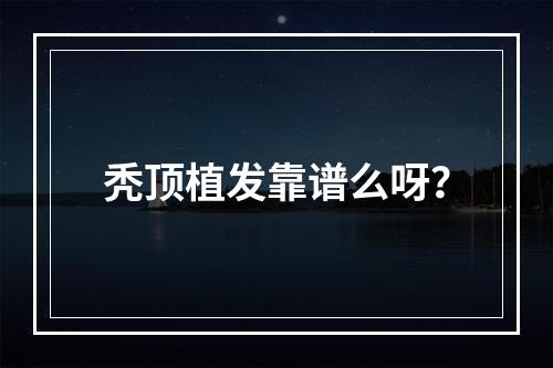 秃顶植发靠谱么呀？