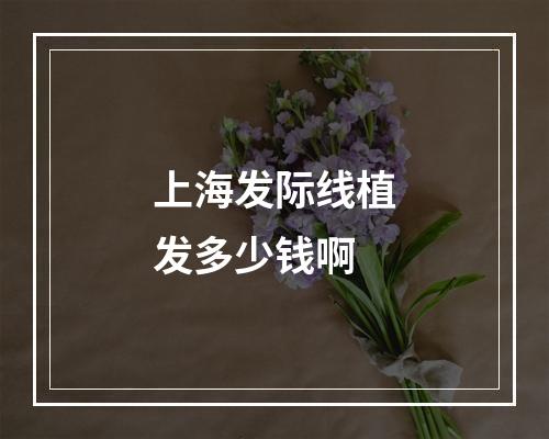 上海发际线植发多少钱啊