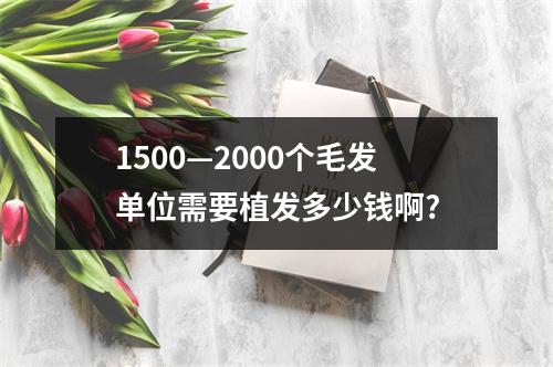 1500—2000个毛发单位需要植发多少钱啊?