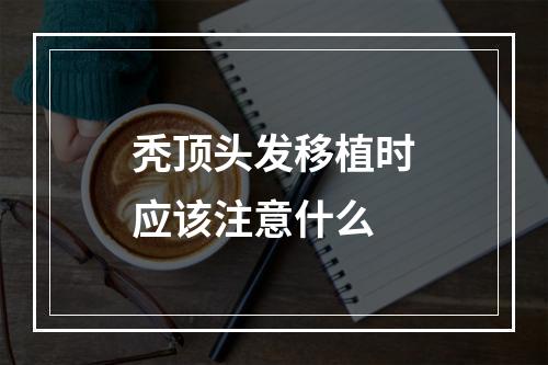 秃顶头发移植时应该注意什么