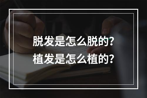 脱发是怎么脱的？植发是怎么植的？