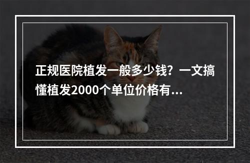 正规医院植发一般多少钱？一文搞懂植发2000个单位价格有多大面积